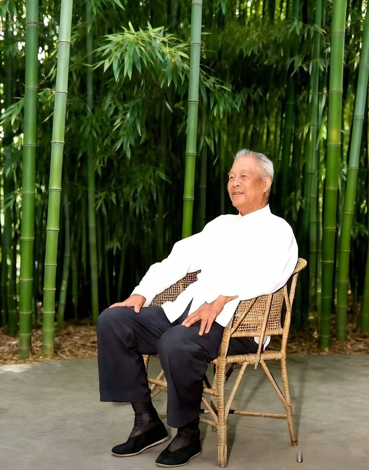 这张照片定格了晚年张宗逊上将的闲适瞬间。
他身着白衫黑裤，脚蹬黑布鞋，端坐于竹林