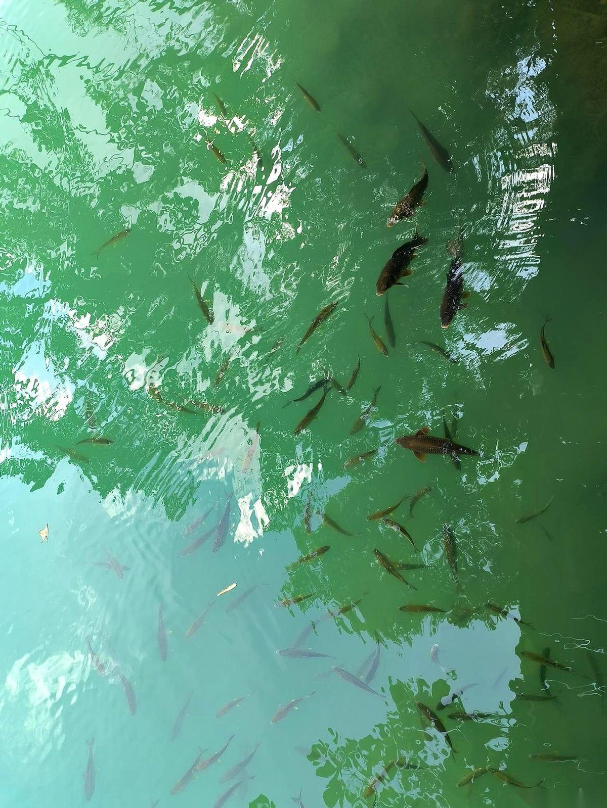 朋友给我发了张截图，人家后台一周收益2000多，他说他也想辞职了。
我真想隔着屏