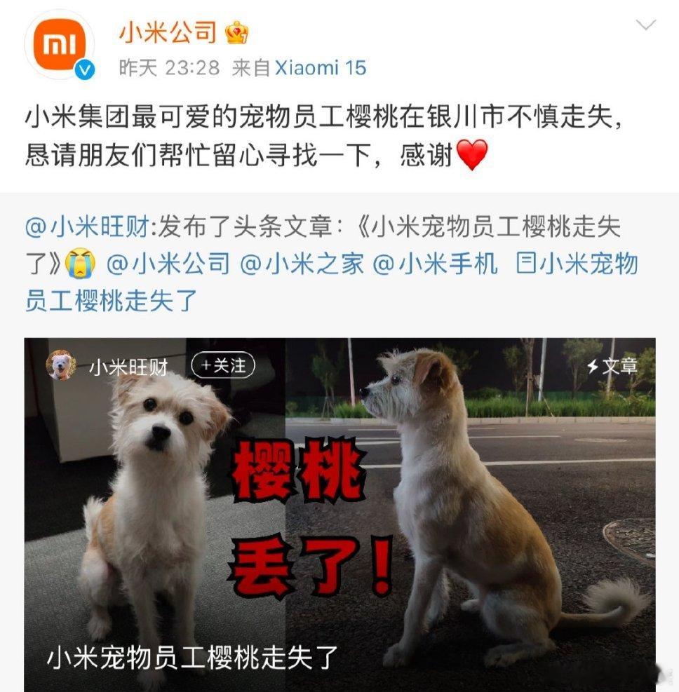 小米最可爱的员工走失 刚刚看到，帮忙扩散，大家有看到的帮忙转发一下！ 