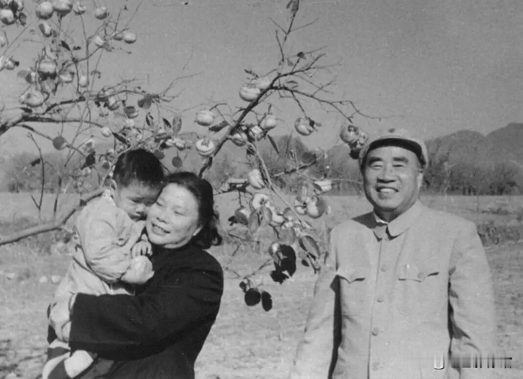 第一张照片里，朱德元帅与妻子康克清、孙辈在柿树下留影，秋日果树硕果累累，画面满是