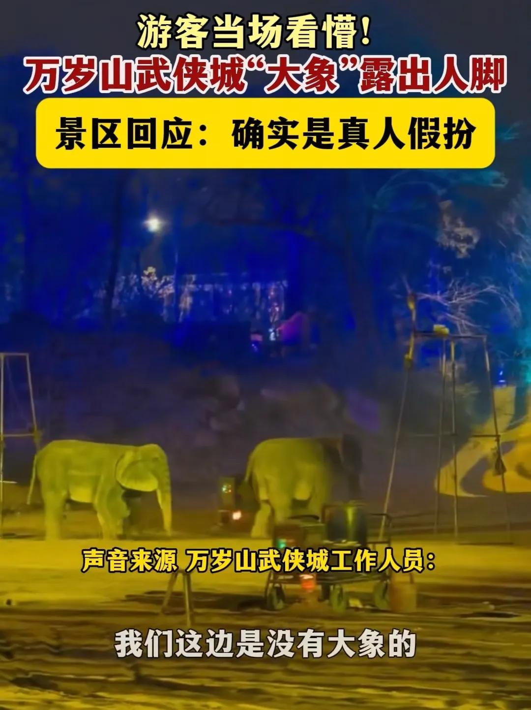 景区用人扮演大象算造假吗？这个需不需要提前说明呢？会不会让游客觉得上当了？大象表