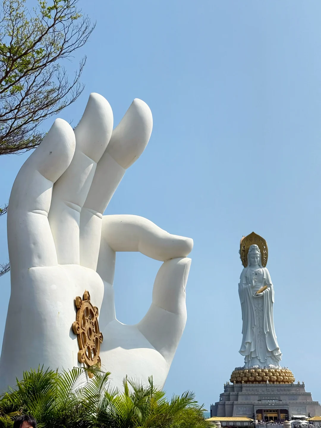 帮大家问过了|许的愿望都ok