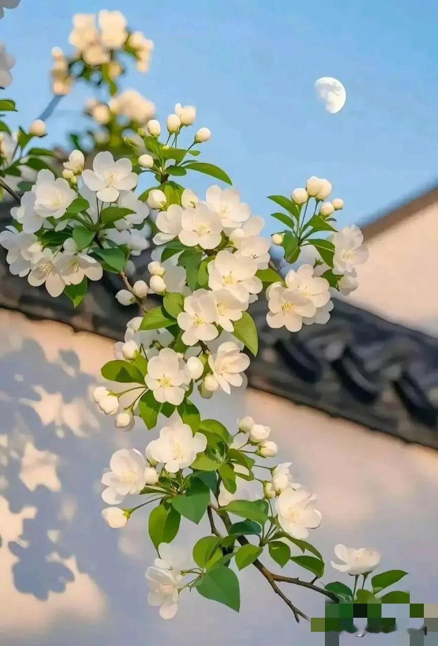 ‘人生说到底，就是独自走过悲喜，生活的酸甜苦辣，苦乐喜忧；跌宕起伏，个中滋味，只