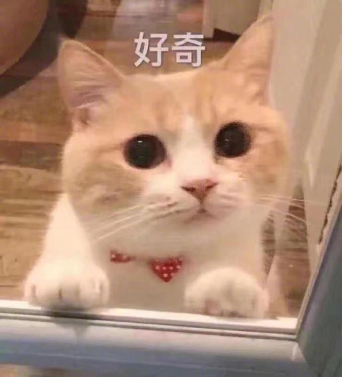 GOING 来评论区说说，如果条件允许，你以后最想在哪座城市定居？ 