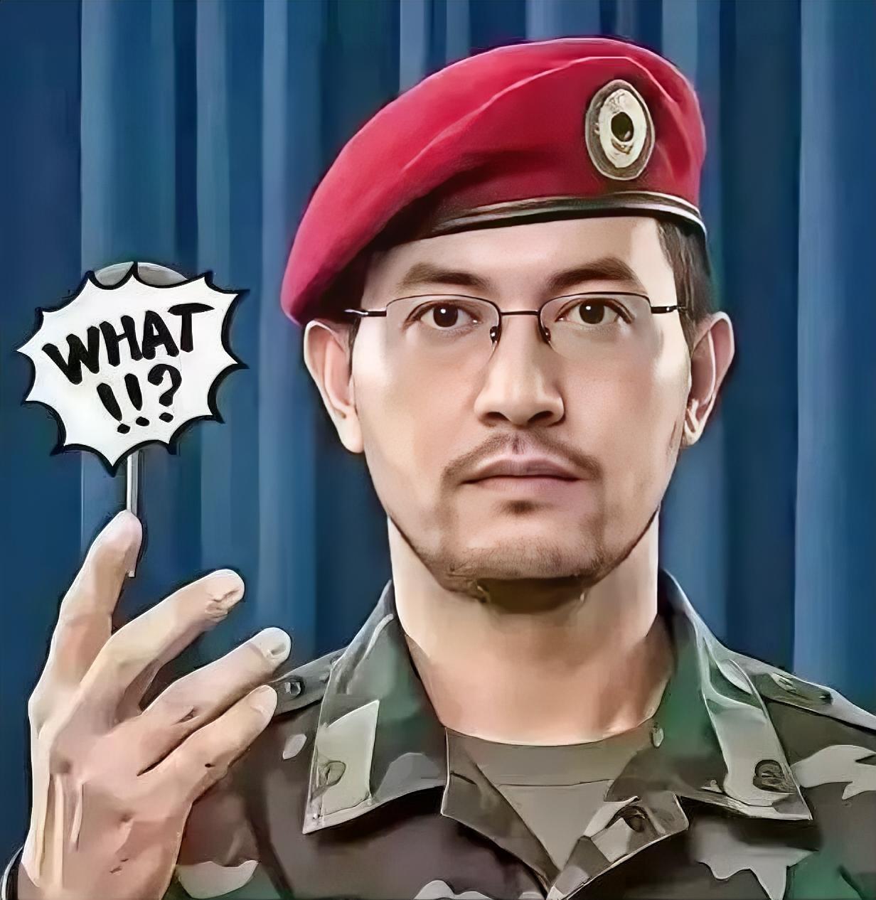 胡塞武装消息！

2026年7月25日，也门胡塞武装对外官宣，动用导弹袭击了沙特