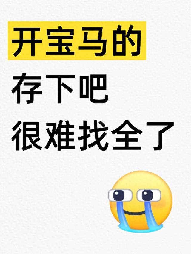 开宝马不知道这些隐藏功能，你的车真的白买了！姐快存下吧