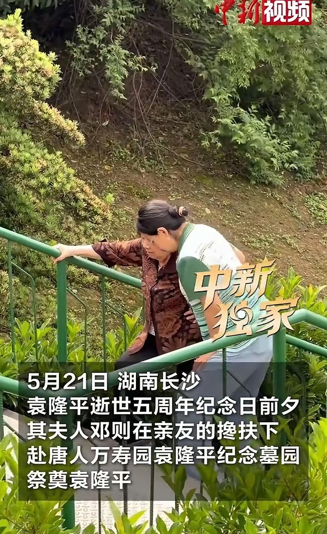 袁隆平逝世五周年前夕，夫人邓则墓前这一幕让人瞬间安静……她推开搀扶的手，几步路走