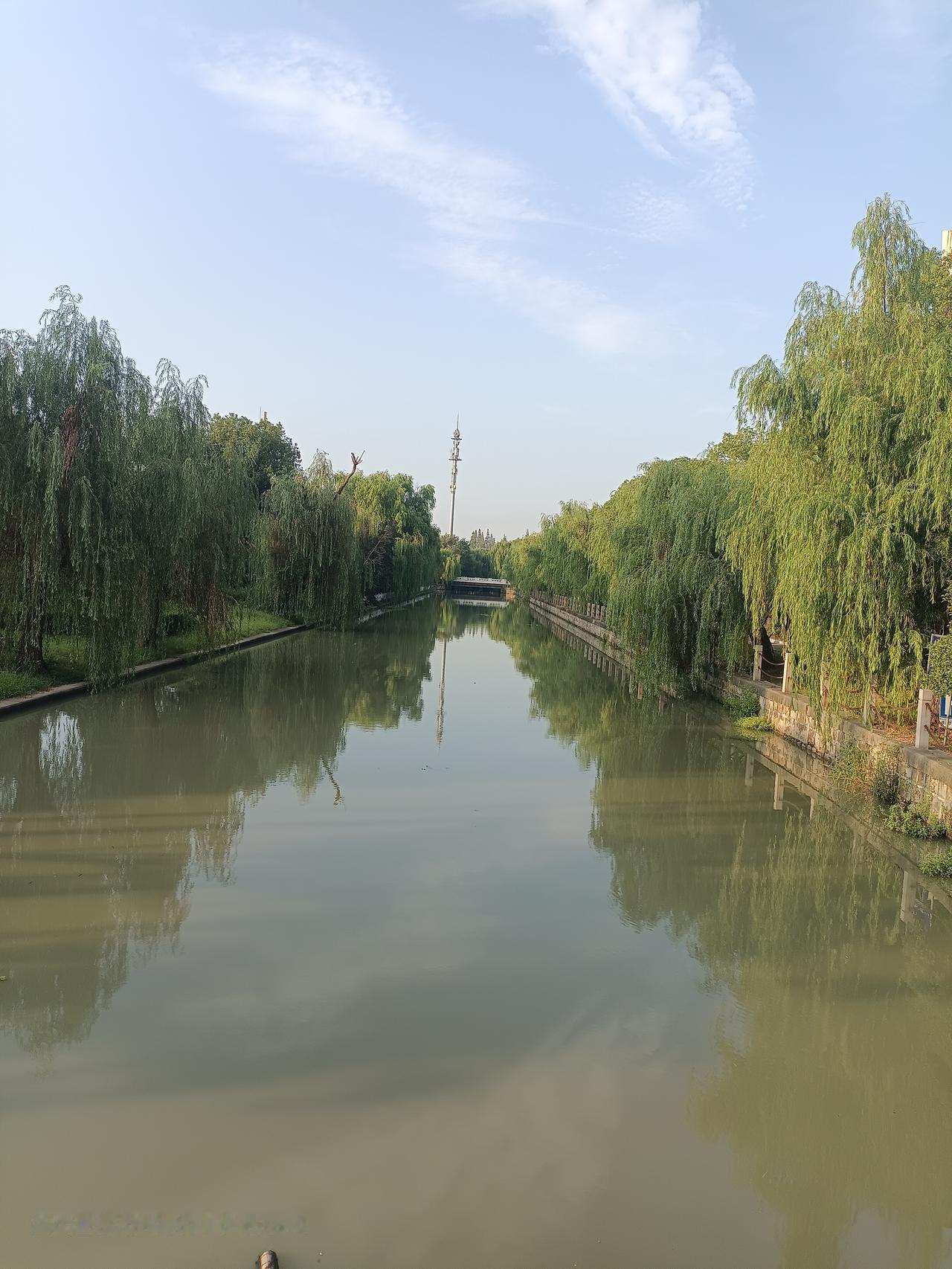 十三年前，因为娃要上学，我辞职离开了上海，回到了乌鲁木齐。十三年后的今天。又是因