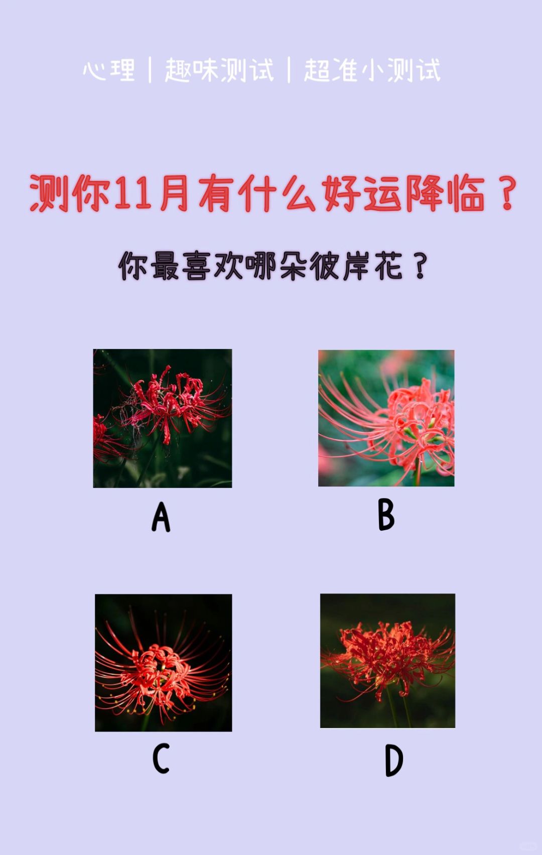 🔥测试｜测你11月有什么好运降临？