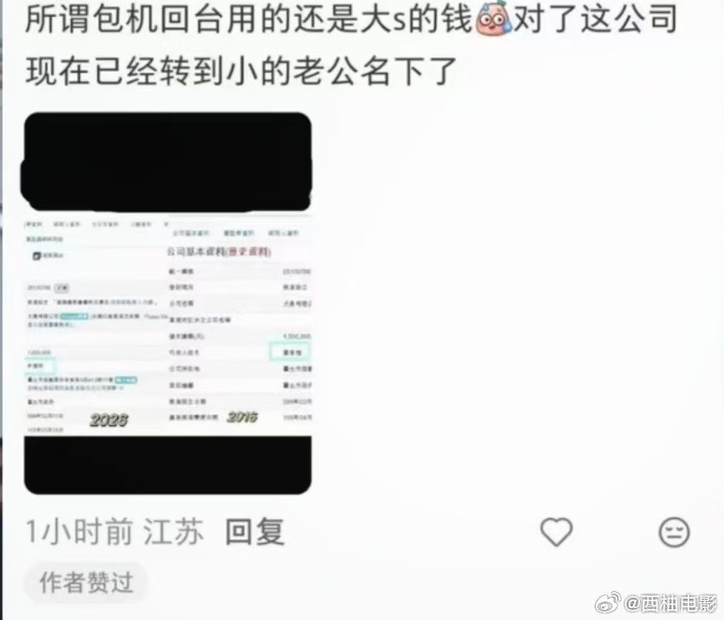 曝大S生前与小S合开公司已转到许雅钧名下 曝大S生前合开公司已转到小S老公名下细
