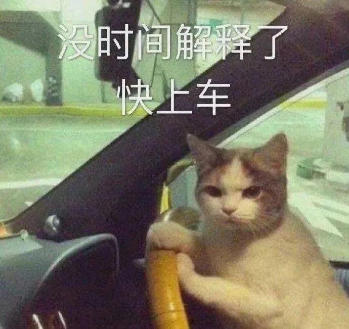 搞笑表情包 ​​​