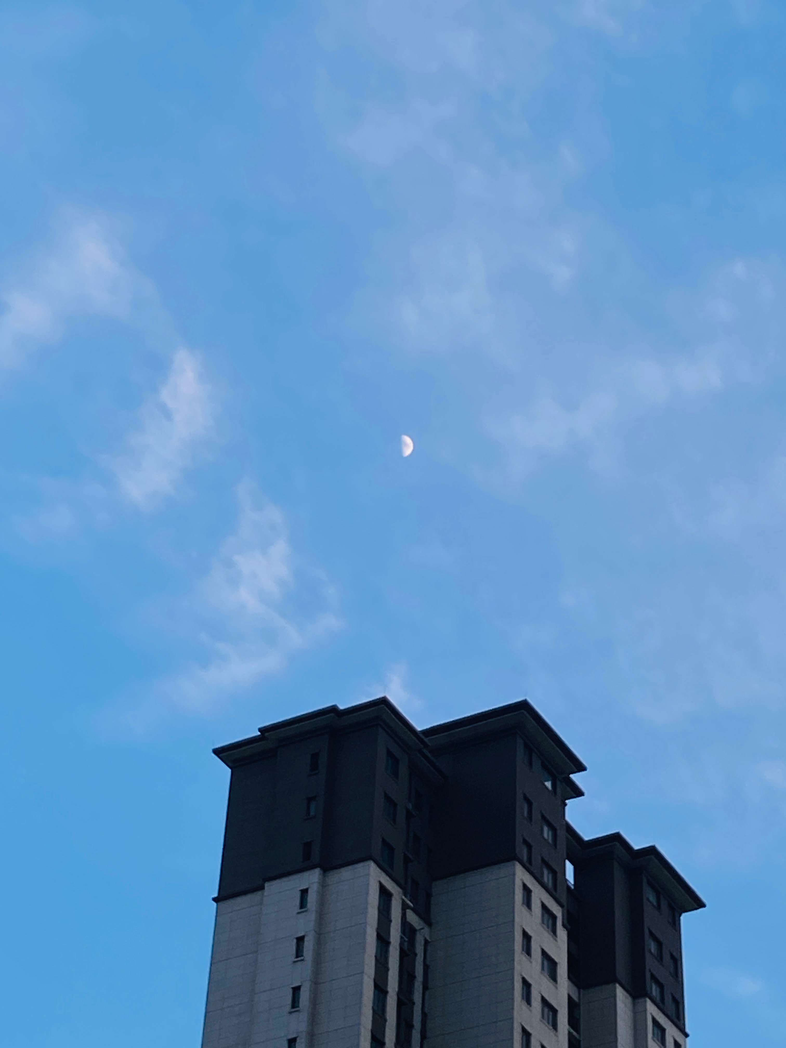 🌙
