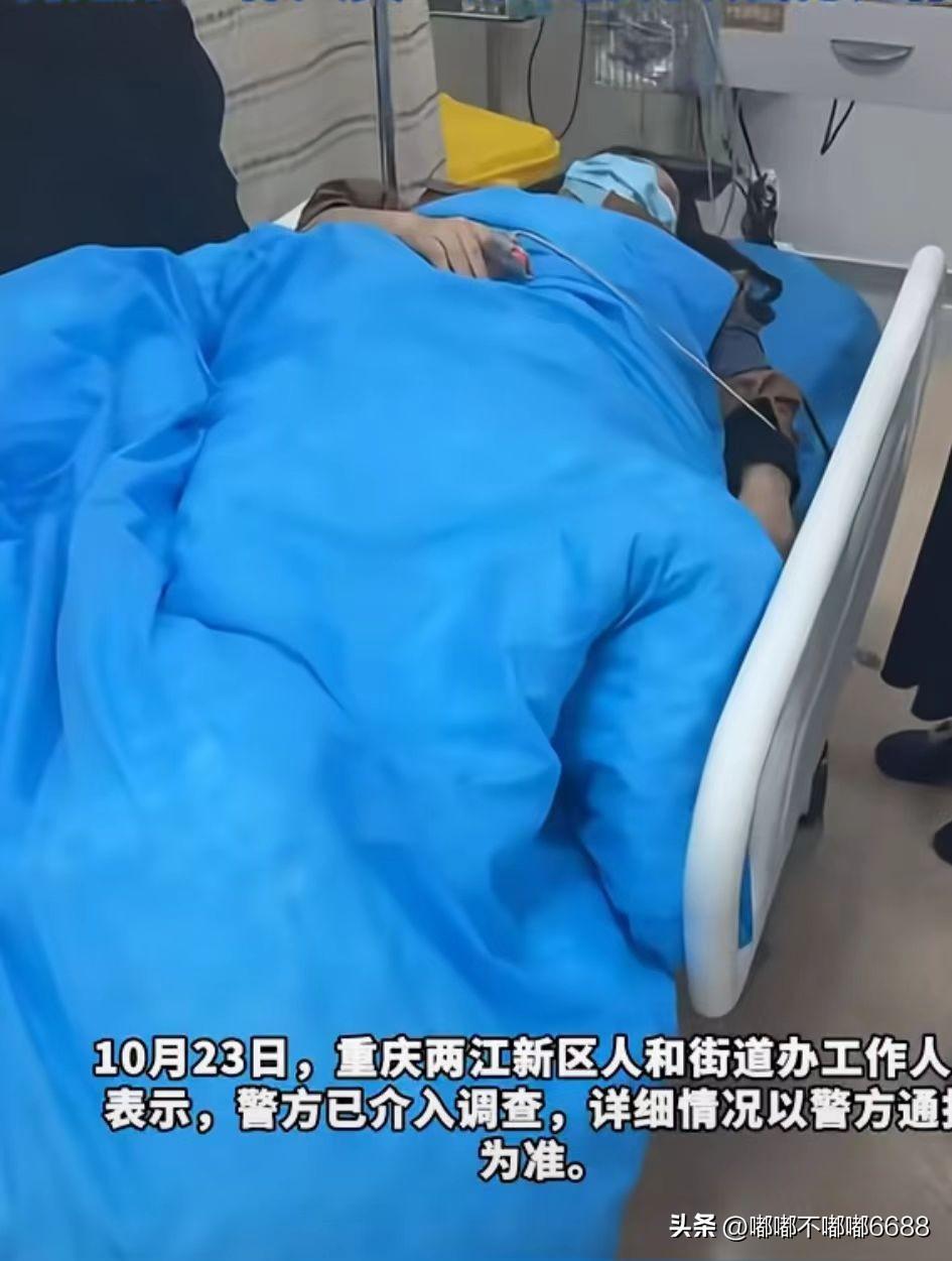 现在最后悔的应该就是重庆这对
殴打牵绳遛狗女子的夫妻了！
不是因为女子牵绳了，而