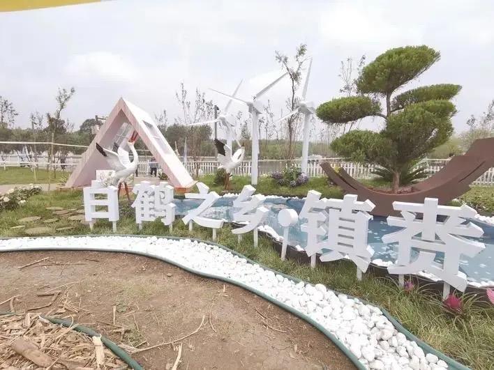 南宁南湖藏秘境！桥底160㎡“沙漠绿洲”爆火，三十余种奇植等你来探

谁能想到，