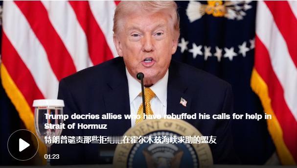 因盟友对派遣军舰护航的要求反应冷淡，特朗普不满谴责道：我一直反对保护所有盟友的做