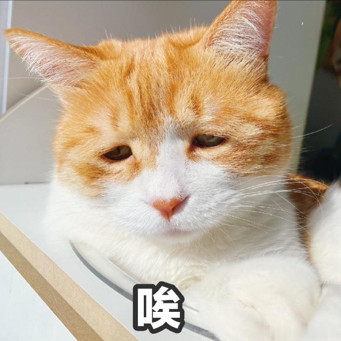 之前我反复提醒行情要回落走 3 字头，拉升阶段不少人只盯着上涨，把我的提醒当成耳