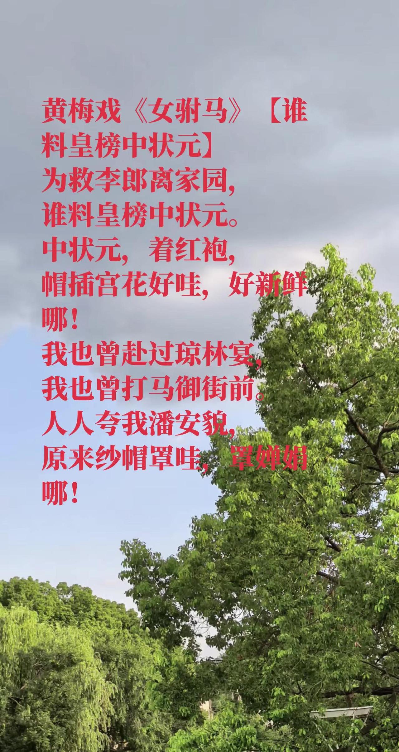 大家吃饭了吗？闲了就听听黄梅戏，太好听了女驸马中的最开心的唱段