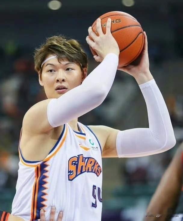 王哲林遭麦基遮天大帽，怒砍24分17篮板3助攻，内线统治力碾压麦基+周琦，里程碑