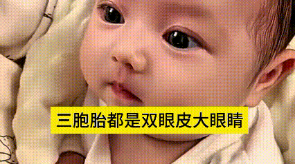 哎呀妈呀老铁们，这家帅哥也太有福啦！喜提三胞胎宝贝，个个都长着水汪汪双眼皮大眼睛