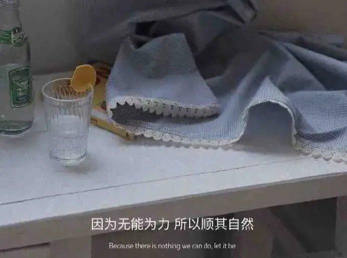 爱的本质：彼此照亮的双向奔赴 相逢的意义，在于成为彼此生命中的光。恋爱的真谛，从
