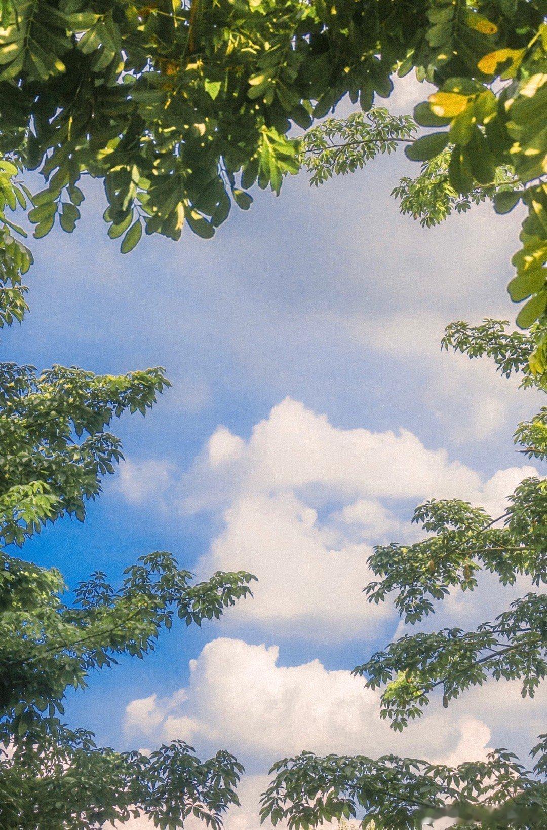 早安，周一愉快哦！少爷今天报道[期待][期待]终于要开学啦[鼓掌][鼓掌]开森[