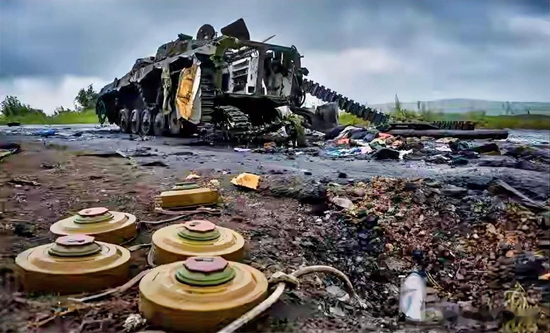 波兰在2月20日正式宣布退出《渥太华禁雷公约》，波罗的海三国、波兰、芬兰集体退群