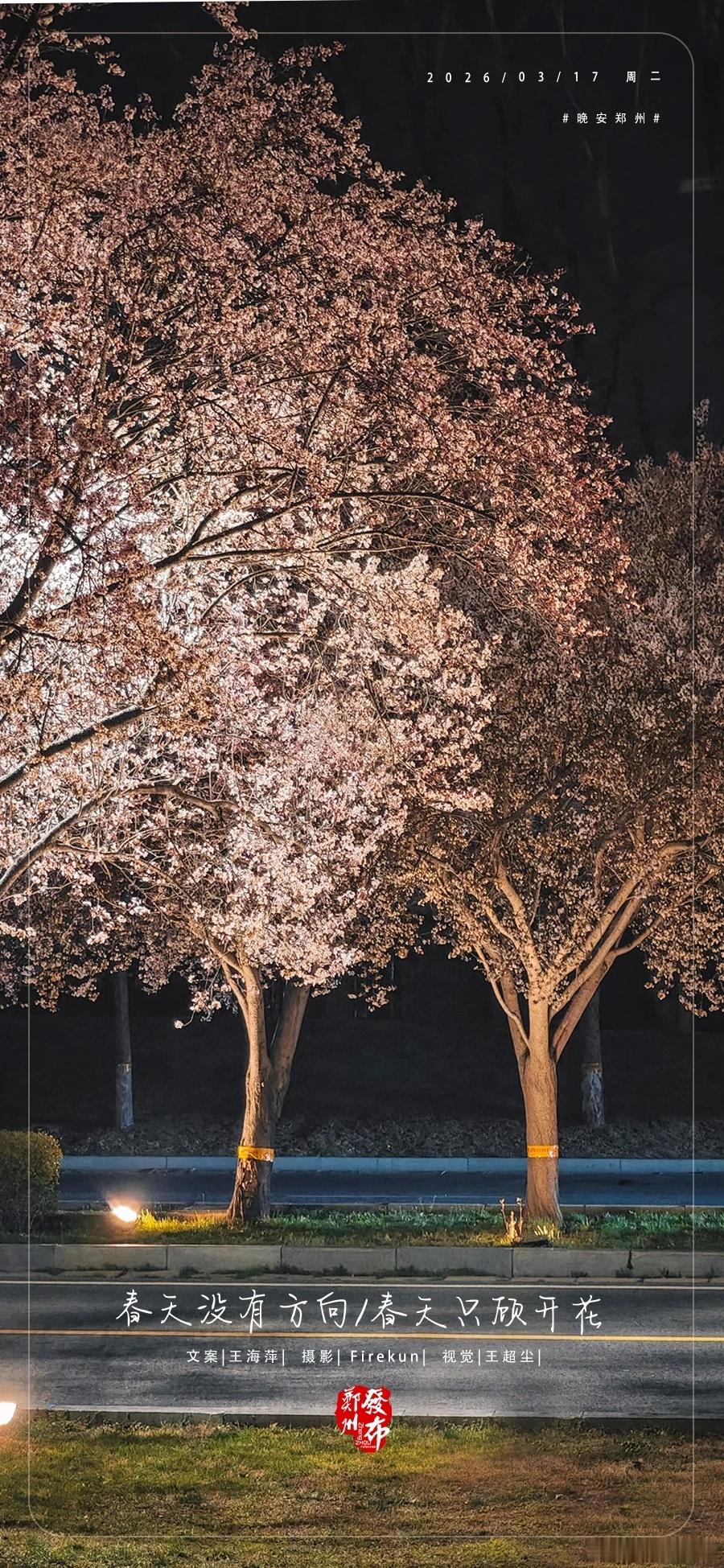 郑州郑州【晚安海报】春天没有方向，春天只顾开花。晚安，郑州 ！ 郑州