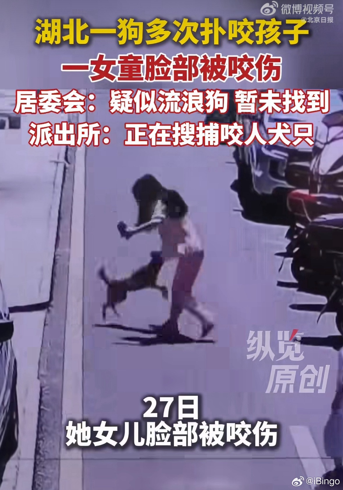 湖北通报流浪犬咬伤两名儿童同一只狗，先后咬伤两名儿童，作案后均快速逃逸。。。目前