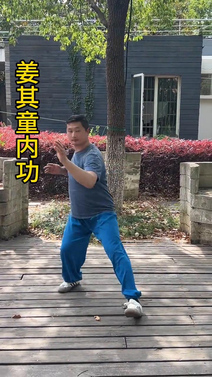 太极真传，丹田行拳，顶级内功，姜其童内功。
