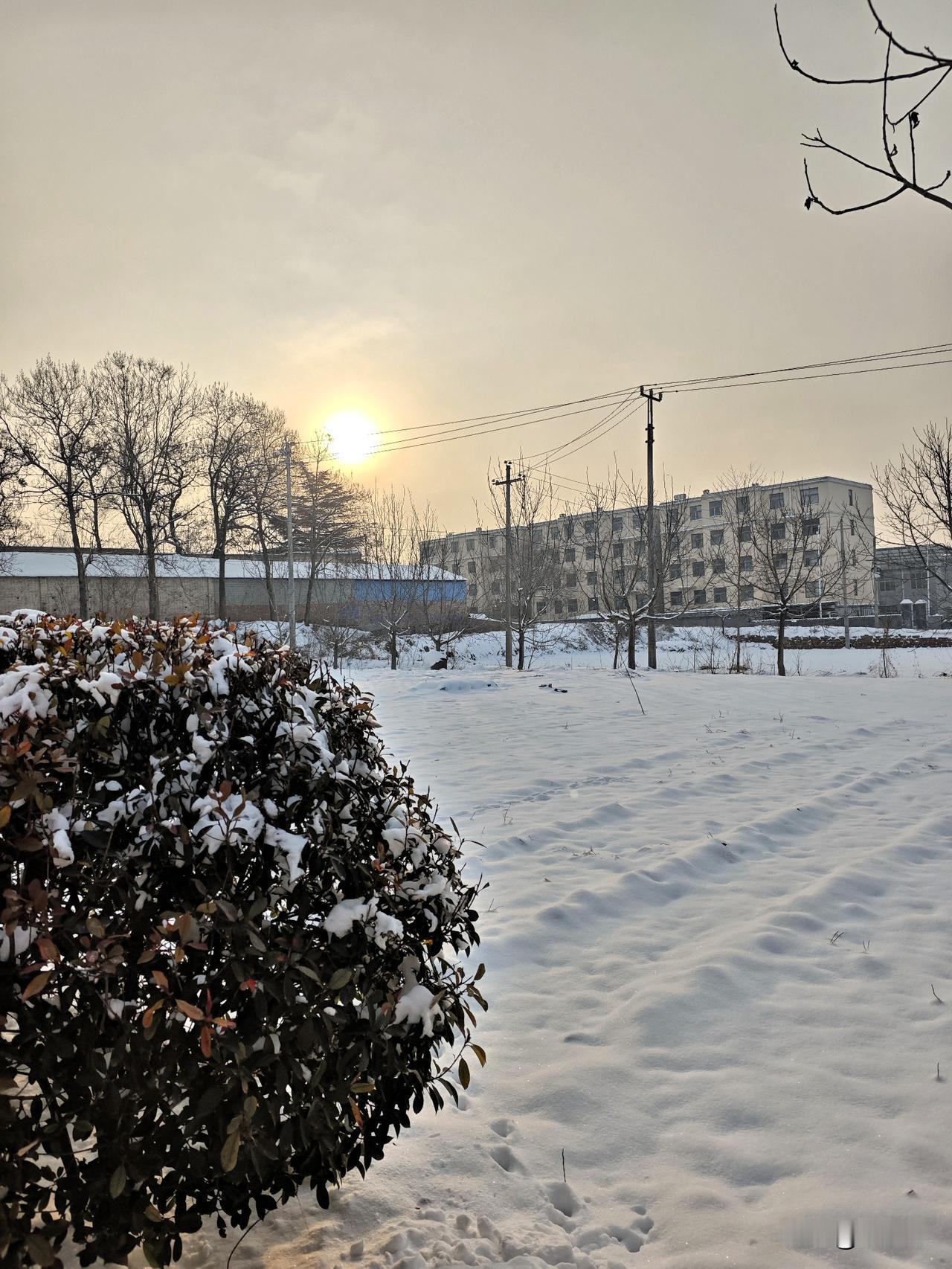 ❄️ 一场雪过后，老家的清晨变得安安静静。
阳光穿过薄雾，把雪地照得暖融融的。路