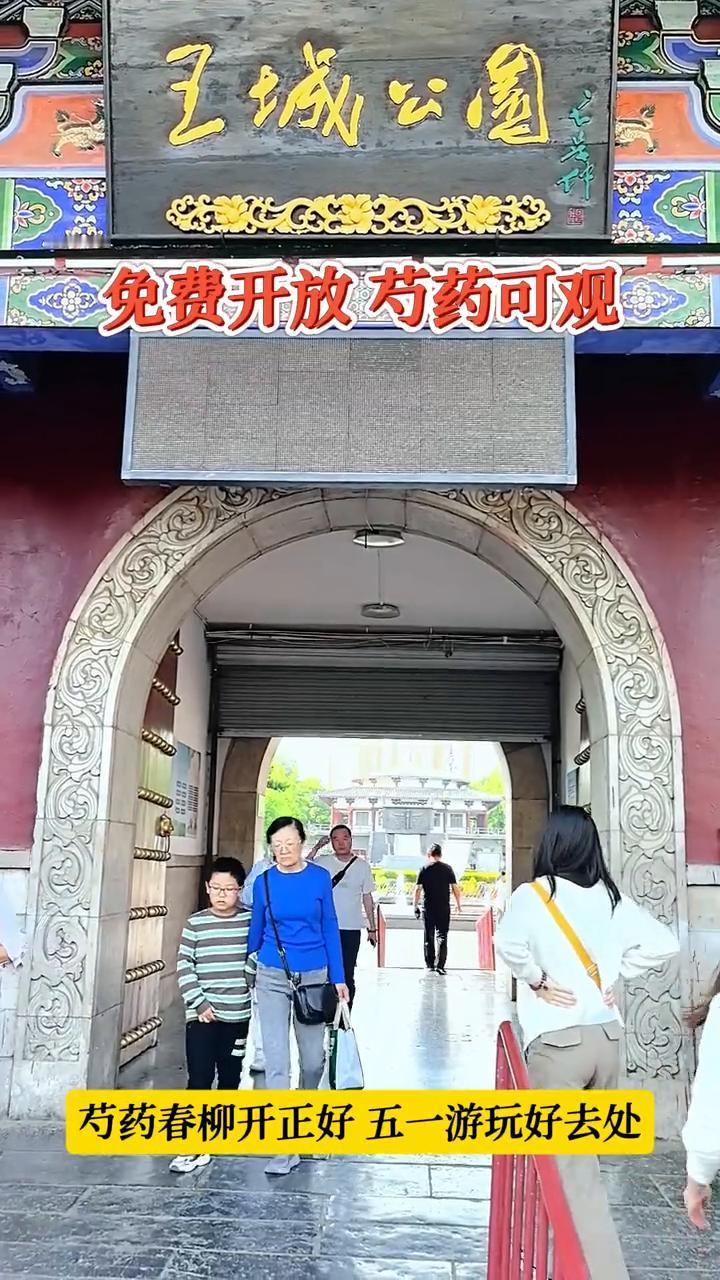 芍药春柳开正好，五一游玩好去处。