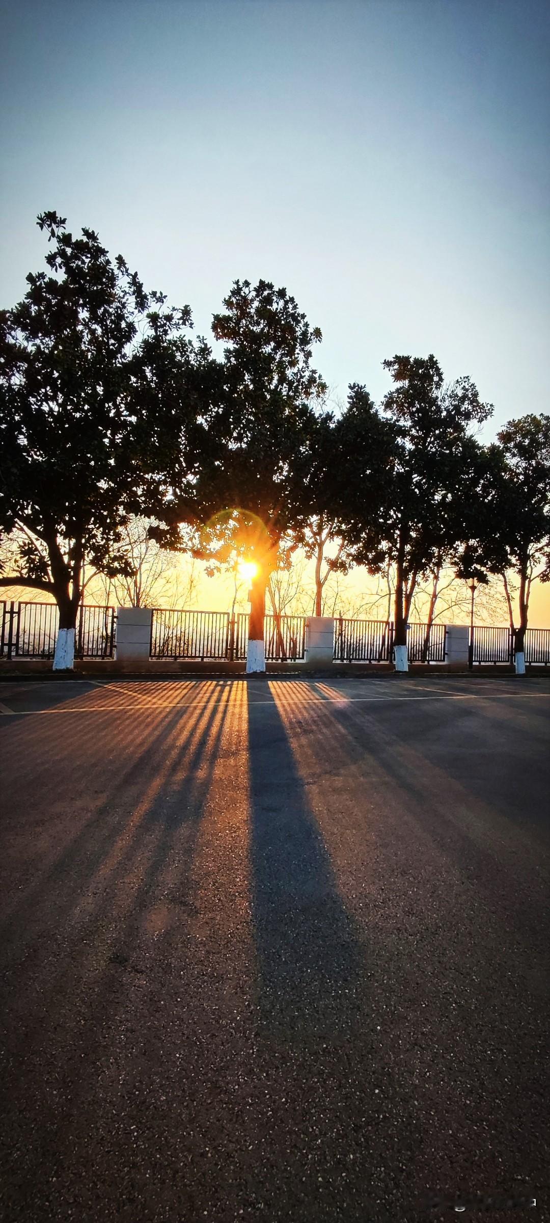 晒图笔记大赛过了小寒，清晨的日光很绚烂，也确实很冷。万籁无声，栏杆的影子长长的铺