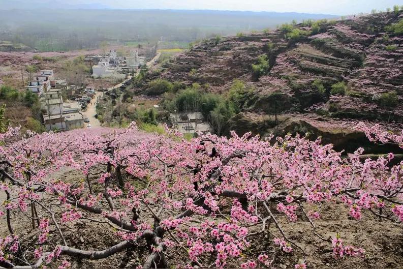 上联：冬去千山秀，诚邀下联春来万水欢