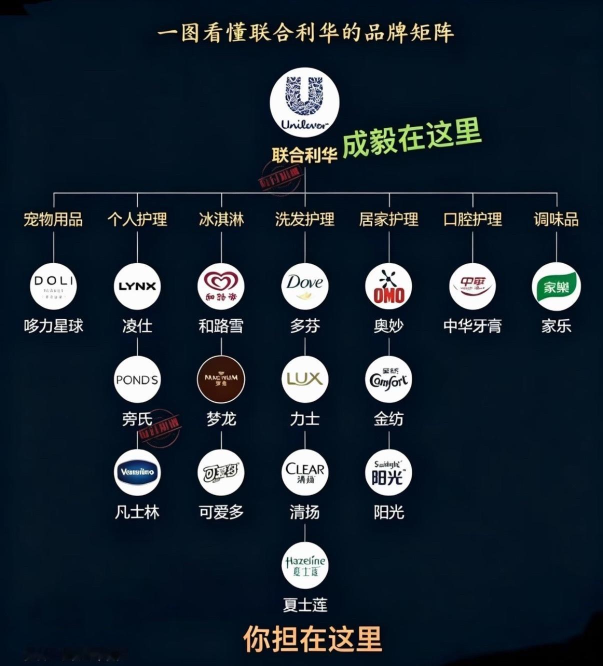 成毅联合利华美护发代言人，多芬洗护，给的集团title。是对成毅咖位的认可，品牌