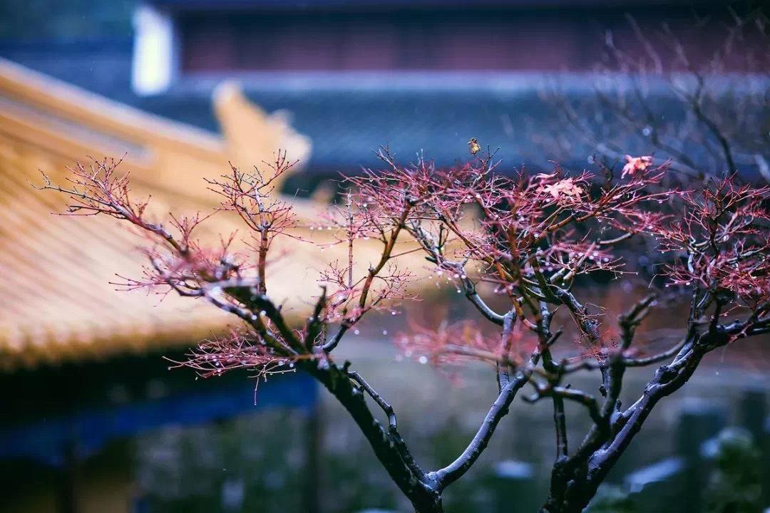 修一颗平常心·默斋主人原创自由诗悠悠岁月，长河漫淌任凭时序剥蚀，鬓色凝霜行至人生