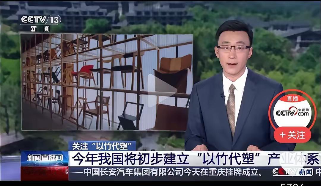 好消息，今年起，我国将建立以竹代塑产业体系，也就是说，我们生活中用塑料制作的东西