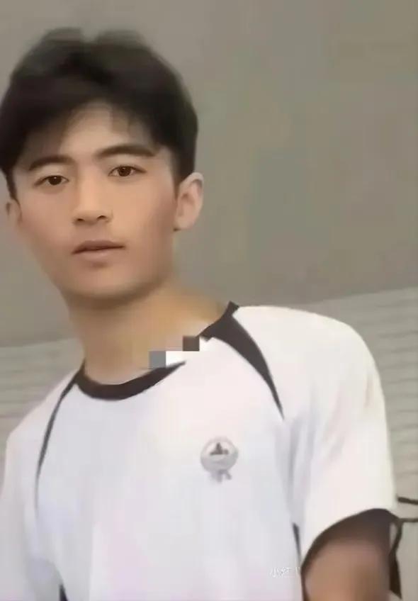 张柏芝大儿子lucas15岁，长成了20岁时候的谢霆锋。

如今他们的大儿子真的