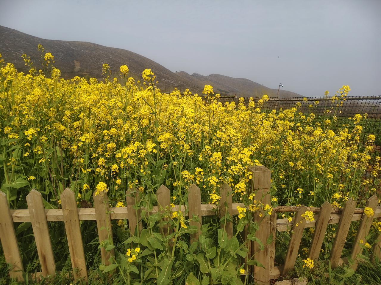 如何看待现在流行的老年大学 现在老年大学超火，好多地方都“一座难求”。这现象反映