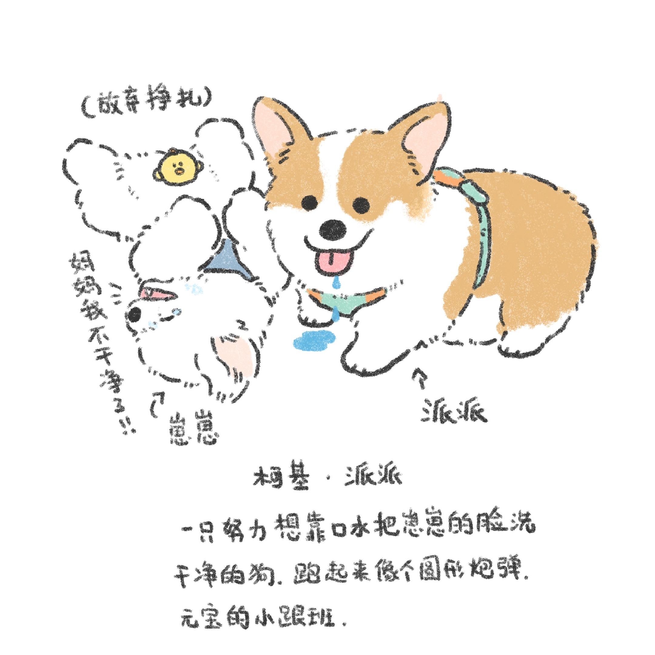 画了下我家的小狗和它的朋友们。狗狗大家庭啦～