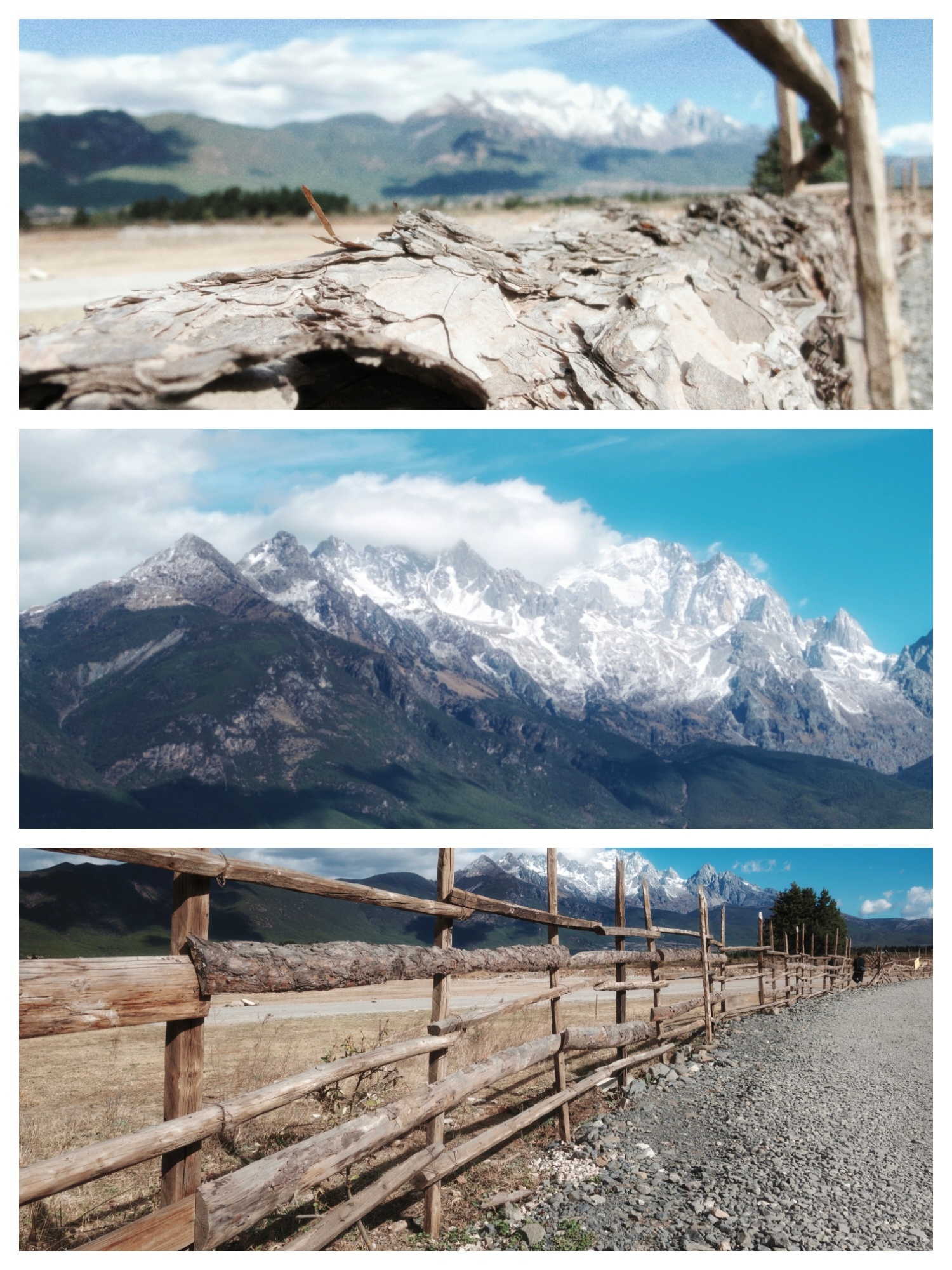 摄影作品：双向奔赴