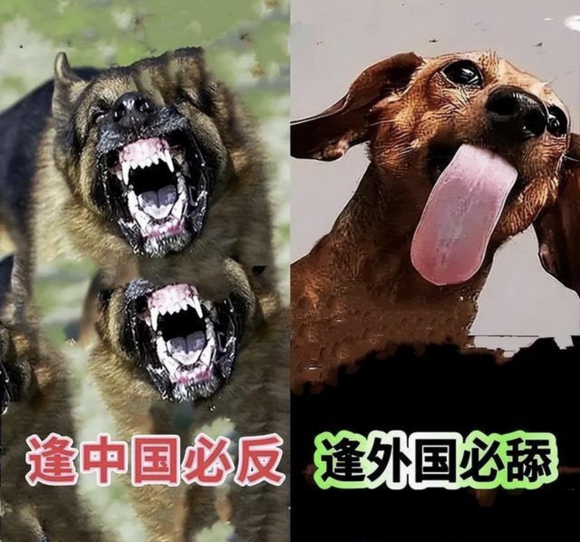 当今信息获取如此容易，知道这些大殖子为什么还敢冒天下之大不韪在这大放厥词，真不怕