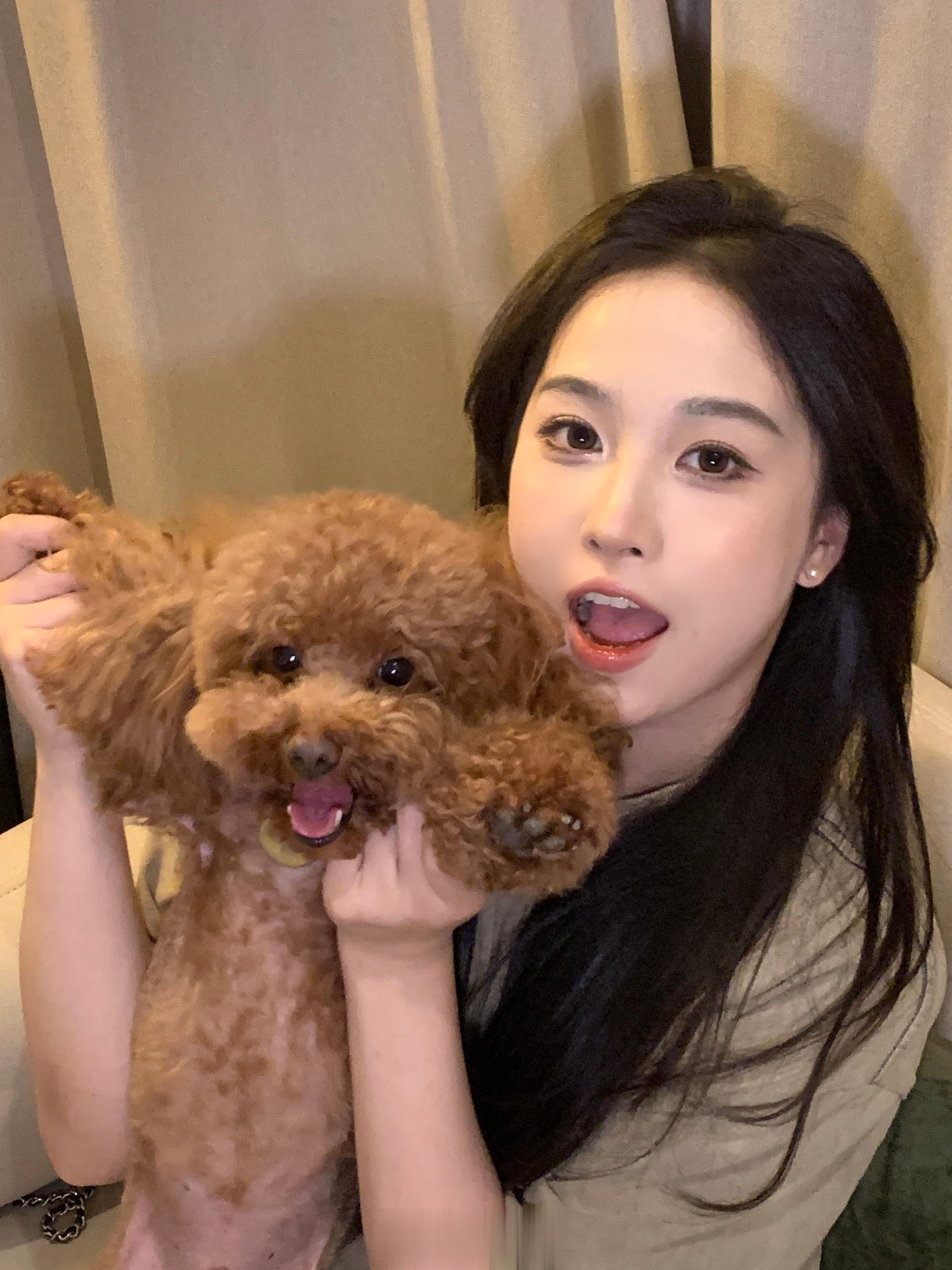 都说狗狗会和主人越来越像？🎂我们是7岁的帅狗狗咯！ ​​​