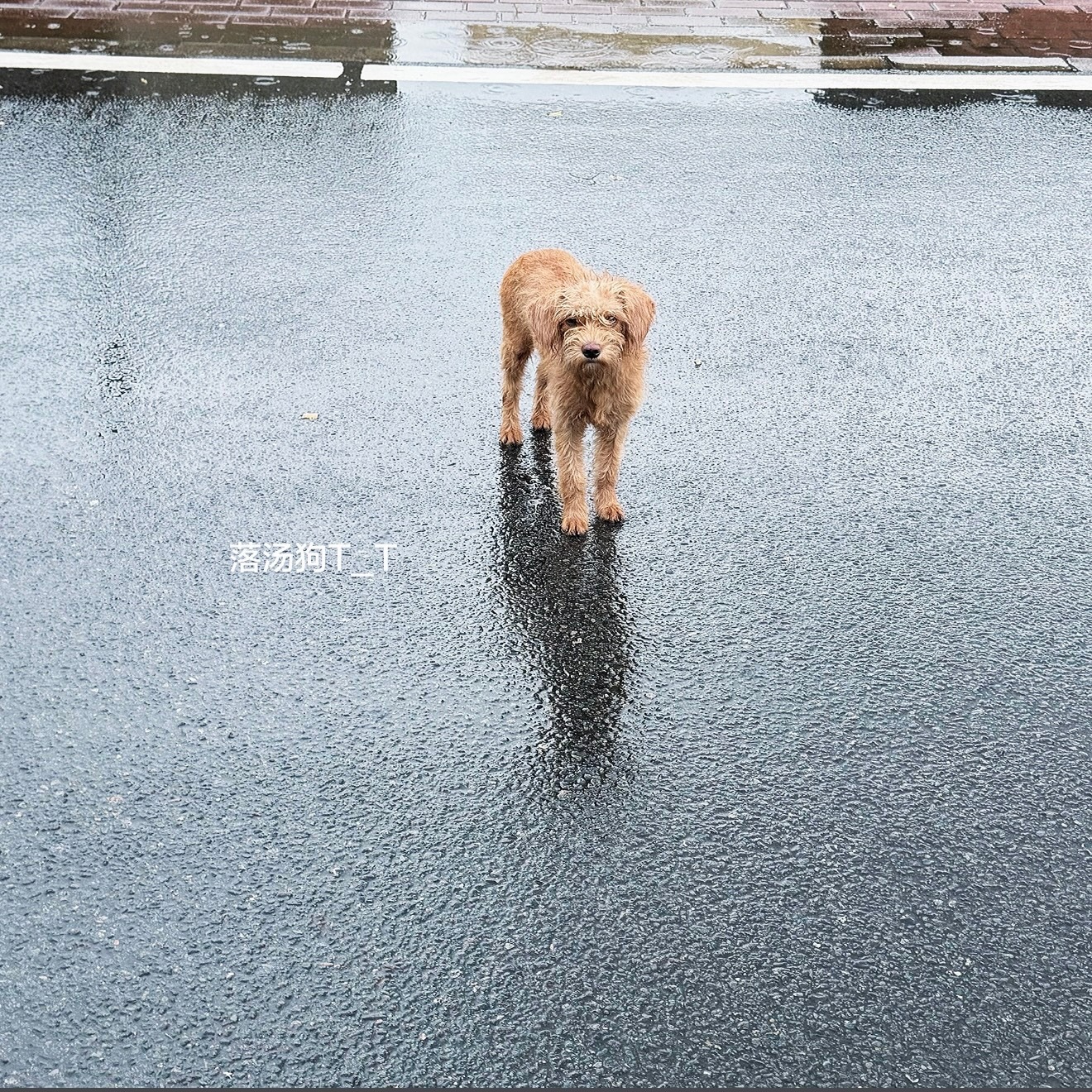~_~;不喜欢下雨天 