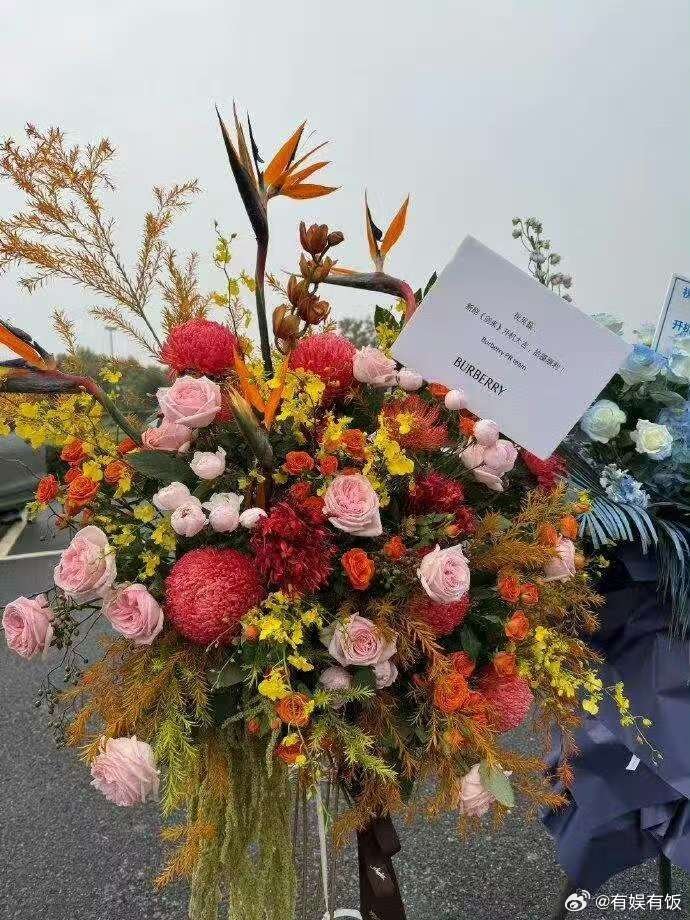 吴磊剑来开机排面品牌给吴磊开机送花篮品牌给吴磊开机送花篮，真是绝了，[色][色]