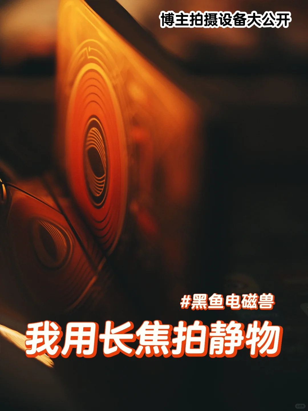 我用长焦拍静物｜博主拍摄设备大公开