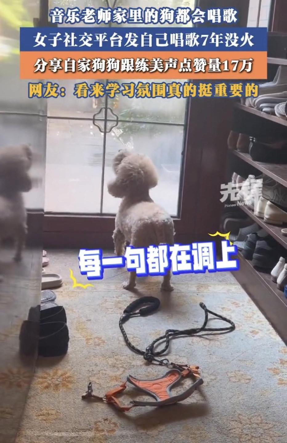 上海，一位音乐老师，发了7年自己的唱歌作品，结果一直无人问津，让人万万没想到的是