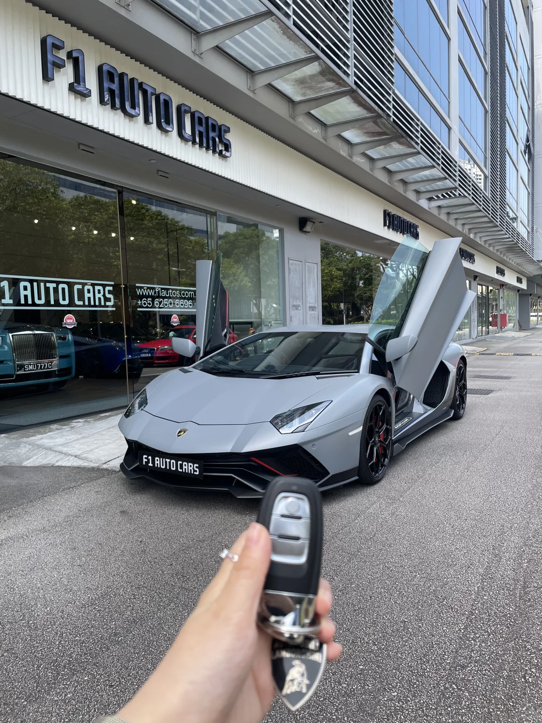 🇸🇬挑战体验200辆豪车200/122