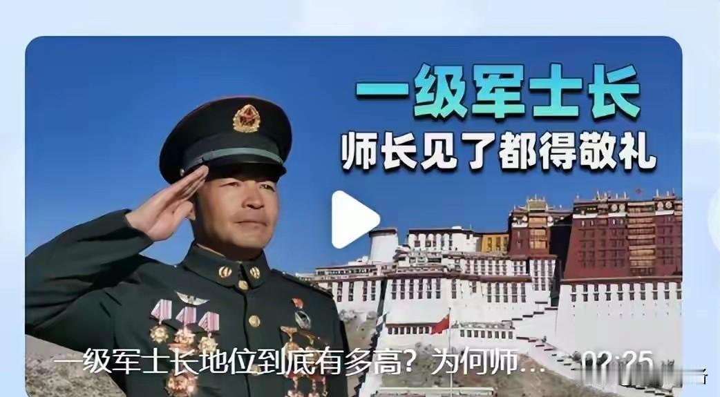 一级军士长，师长见了都得敬礼？   
       看笑了！幸亏自己当过兵！师长