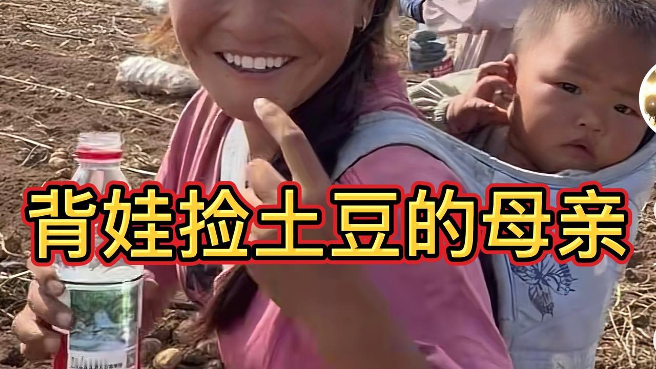 背着十个月宝宝在地里捡土豆，母亲的心愿让人心疼。#暖心瞬间 #人间真情 #乡村生活 #母爱