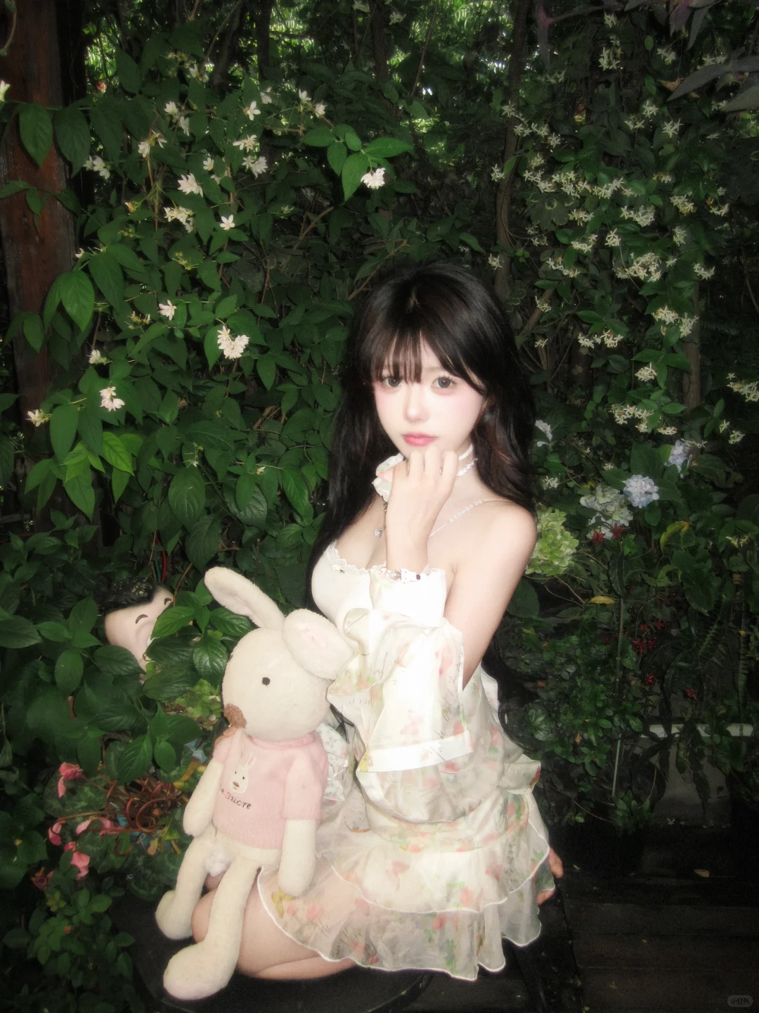 🕊️ ⁺₊⁺🐰‧⁺ 💭